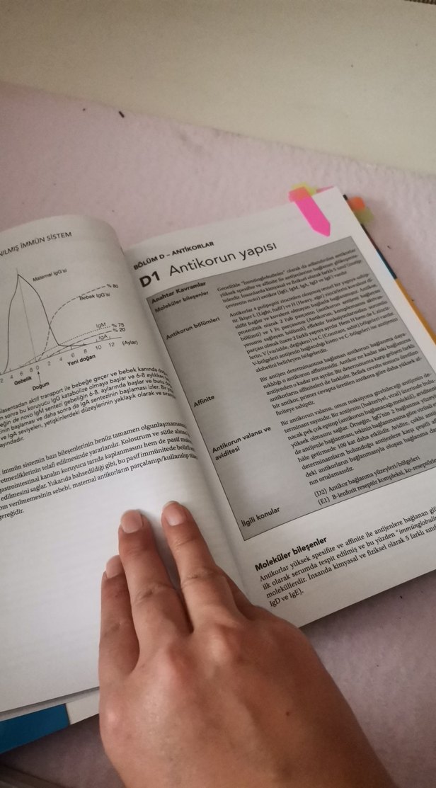 Bios Instant Notes İmmünoloji 3. Baskı - Görsel 5