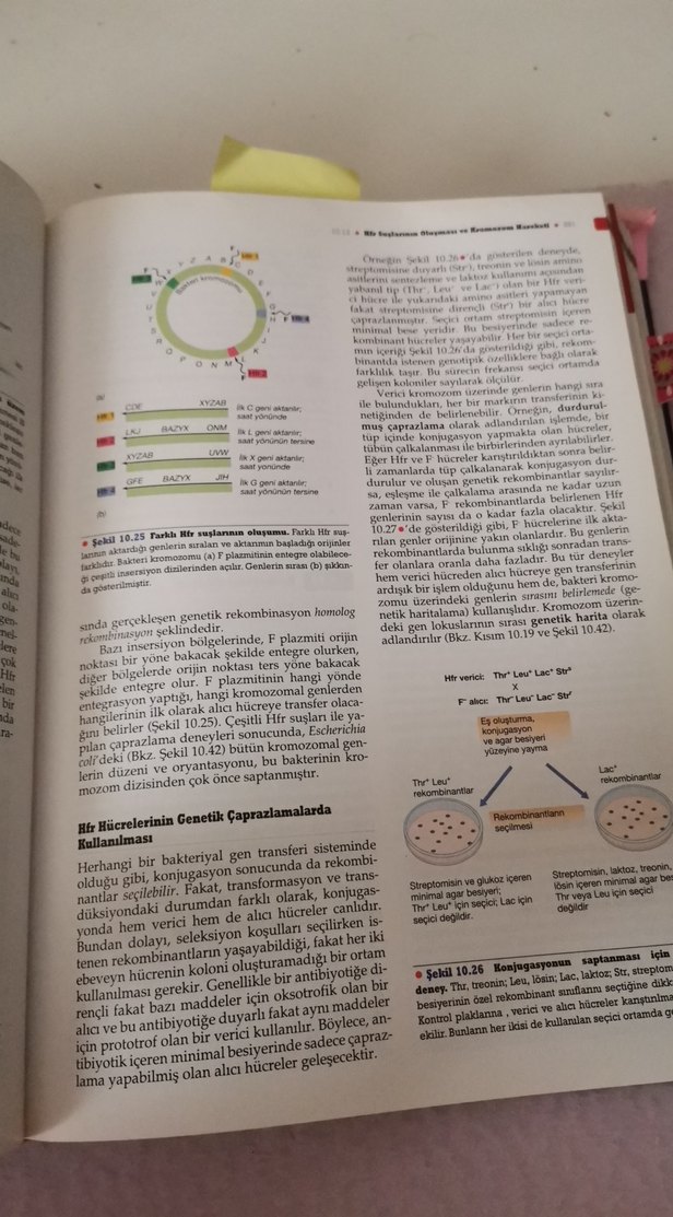 Brock Mikroorganizmaların Biyolojisi Kitabı - Görsel 4