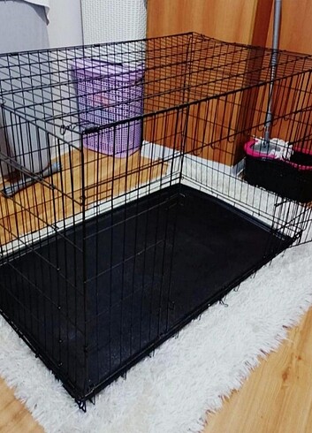 Kedi köpek kafes