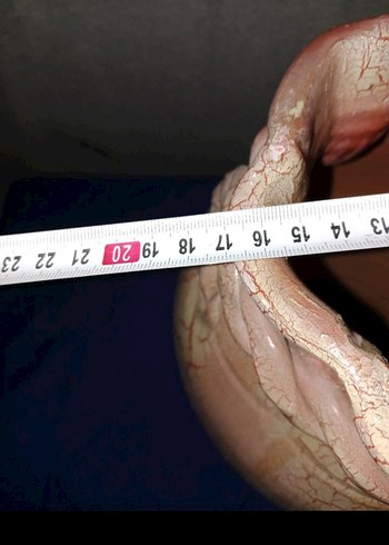 Bej Renkli Kırçıllı Seramik Vazo - Görsel 4