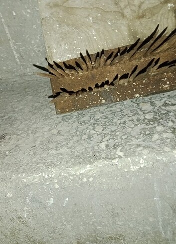 Antika yün tiftikleme didikleme aparatı