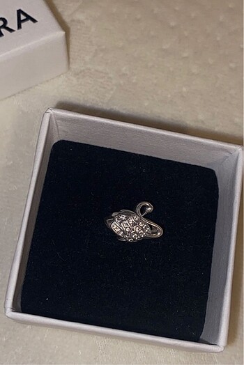 Pandora charm