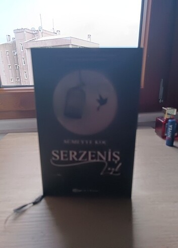 Serzeniş leyd