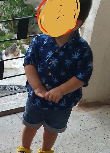9-12 Ay Beden lacivert Renk Erkek bebek gömlek