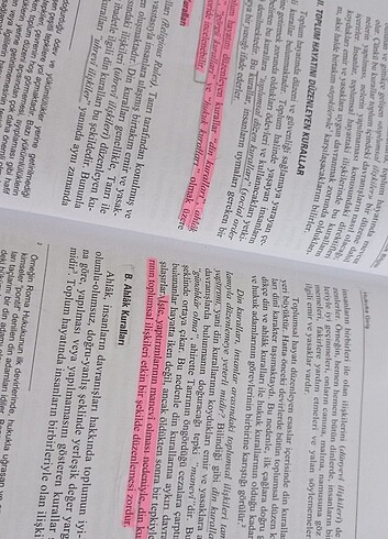 Beden Renk Temel hukuk bilgisi