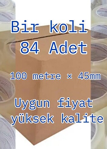 kral koli bandı, 1 koli