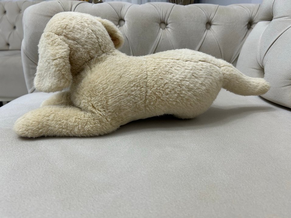 Bej Yumuşak Peluş Köpek Oyuncak - Görsel 2