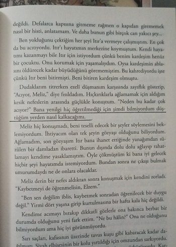 Medusa'nın Ölümü Serisi - Maral Atmaca - Görsel 9