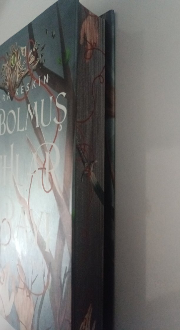 Kaybolmuş Ruhlar Sarayı - Dilara Keskin - Görsel 3