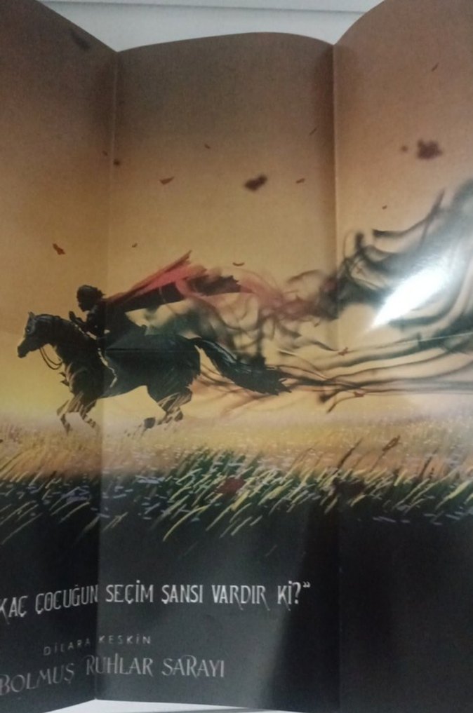 Kaybolmuş Ruhlar Sarayı - Dilara Keskin - Görsel 4