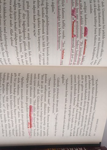 Yaralasar serisi maral atmaca - Görsel 10