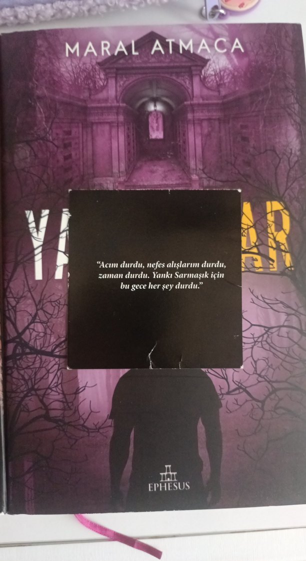 Yaralasar serisi maral atmaca - Görsel 3