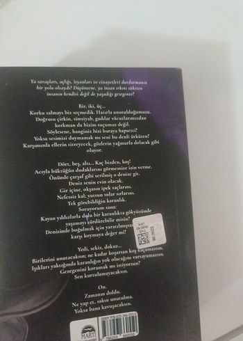 Orion - Almina Taner