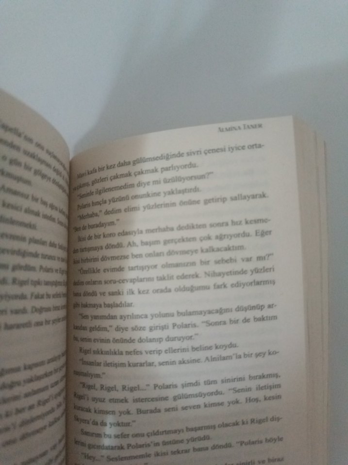 Orion - Almina Taner - Görsel 4