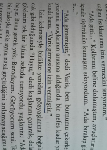 Beyza Aksoydan Kelebeği öldürmek serisiOnun Şeytanları Kitapları - Görsel 11