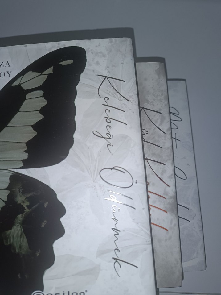 Beyza Aksoydan Kelebeği öldürmek serisiOnun Şeytanları Kitapları - Görsel 2