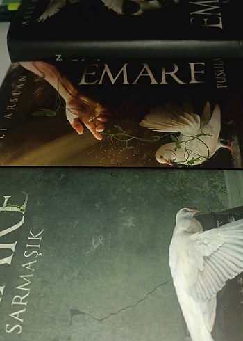 Aslı Arslan - Emare Sarmaşık pusula maske
