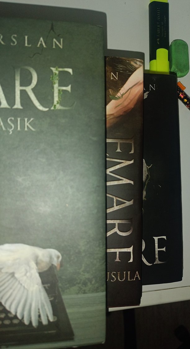 Aslı Arslan - Emare Sarmaşık pusula maske - Görsel 3