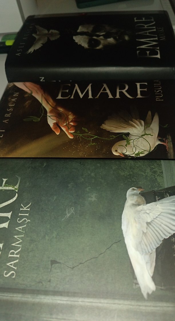 Aslı Arslan - Emare Sarmaşık pusula maske - Görsel 2