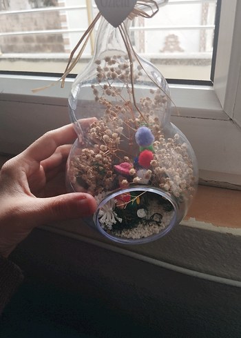 Renkli Mini Teraryum Süsleme - Görsel 5