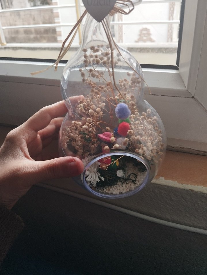 Renkli Mini Teraryum Süsleme - Görsel 5