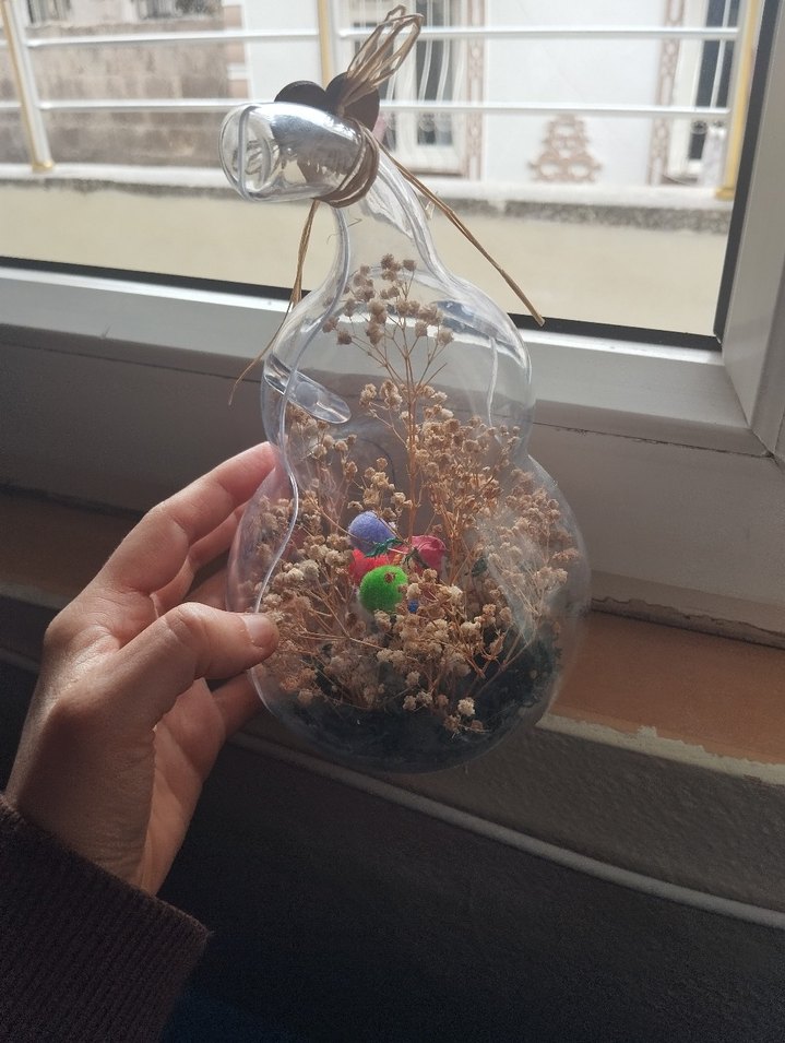 Renkli Mini Teraryum Süsleme - Görsel 2