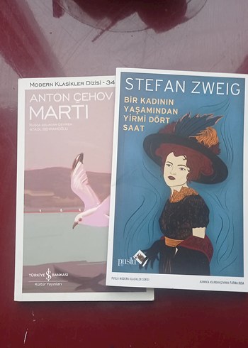 Stefan Zweig ve Anton Çehov Roman Seti - Görsel 3