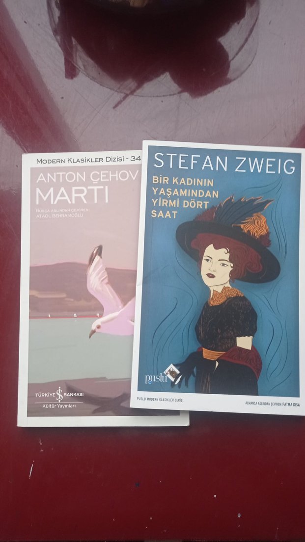 Stefan Zweig ve Anton Çehov Roman Seti - Görsel 3