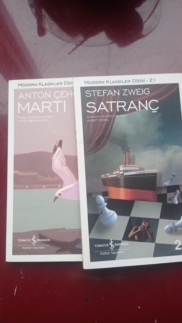 Stefan Zweig ve Anton Çehov Roman Seti - Görsel 2