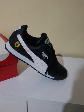 puma roma