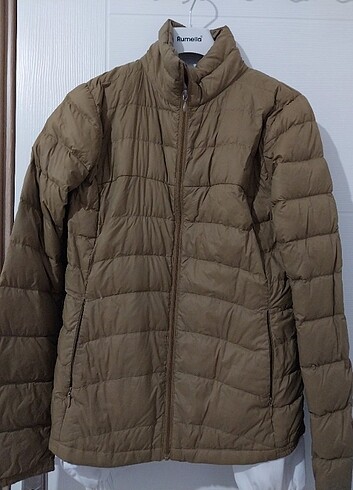 kadin mont 