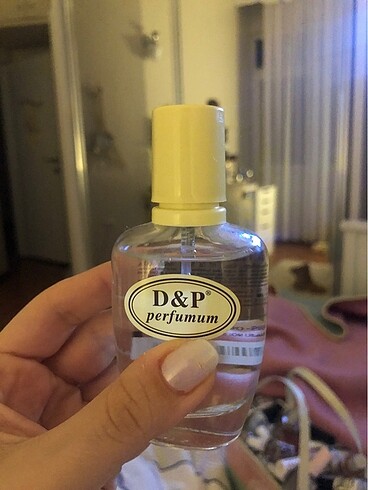 D&P s8 Shiseido Zen