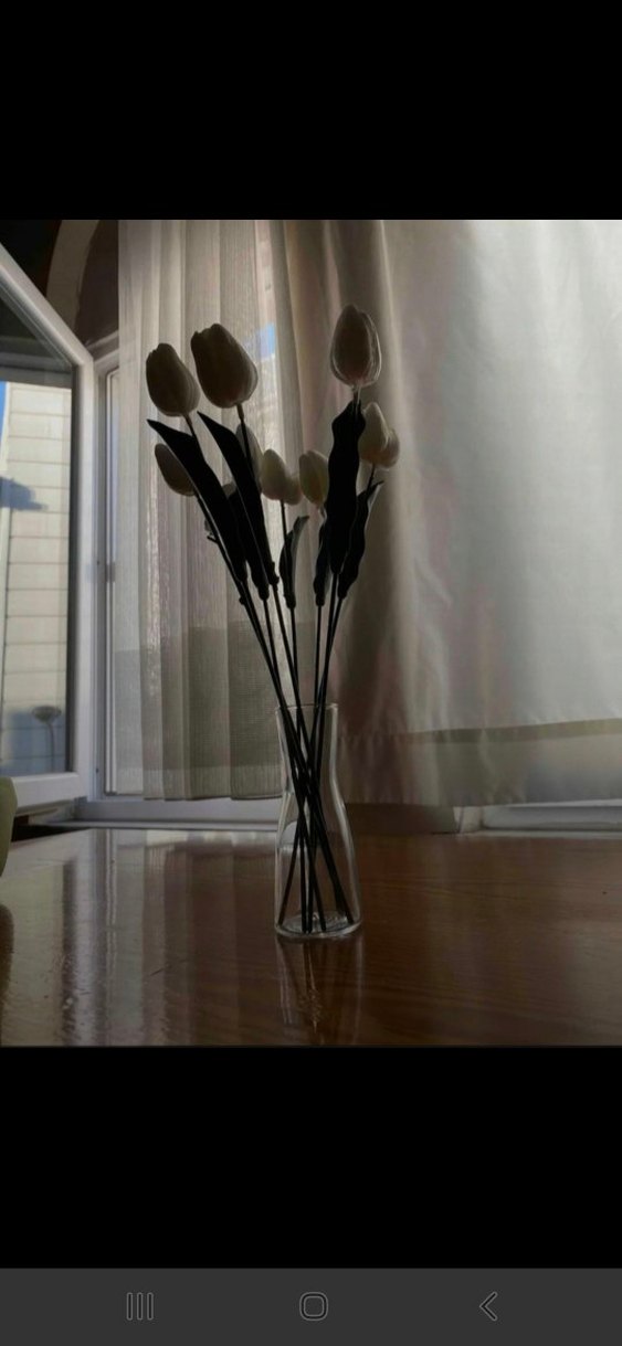 İKEA TIDVATTEN CAM VAZO 14 cm - Görsel 5