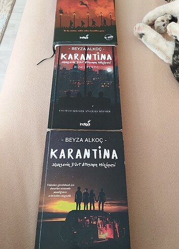 Kitap Beyza alkoç 