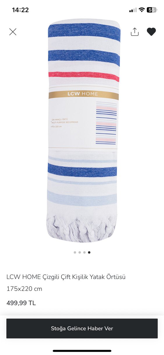 LCW HOME Çizgili Çift Kişilik Yatak Örtüsü - Görsel 4