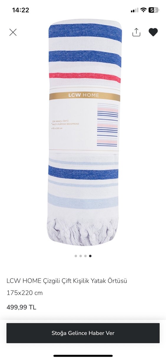 LCW HOME Çizgili Çift Kişilik Yatak Örtüsü - Görsel 4