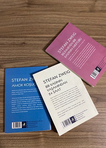 Stefan Zweig 3 Kitap Seti - Roman - Görsel 2