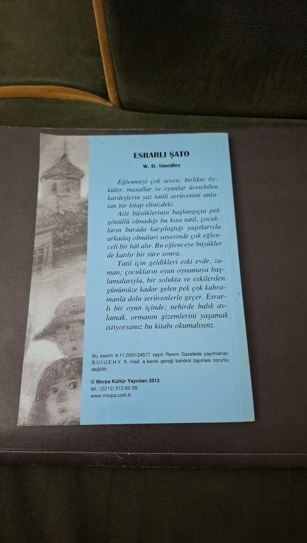 Esrarlı Şato - W.D. Smedley - Görsel 2