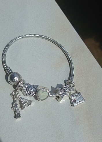Beden gri Renk Pandora Kalpli Çelik Charm