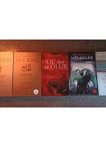 Tuğçe Işınsu Kitapları 5'li set