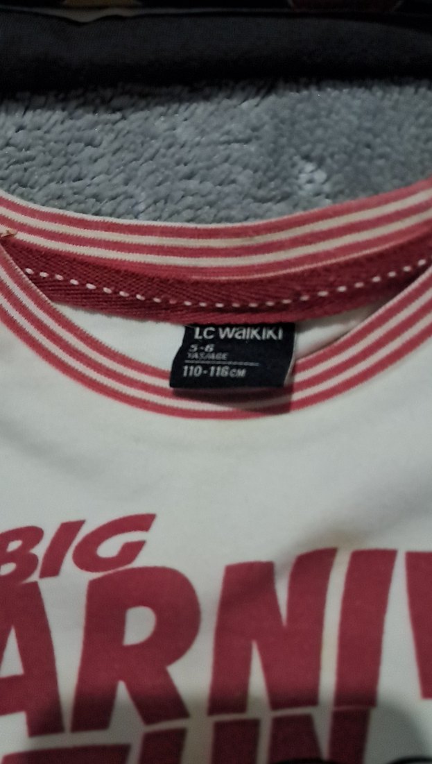 Beyaz Renkli Erkek Çocuk Baskılı Sweatshirt - Görsel 2