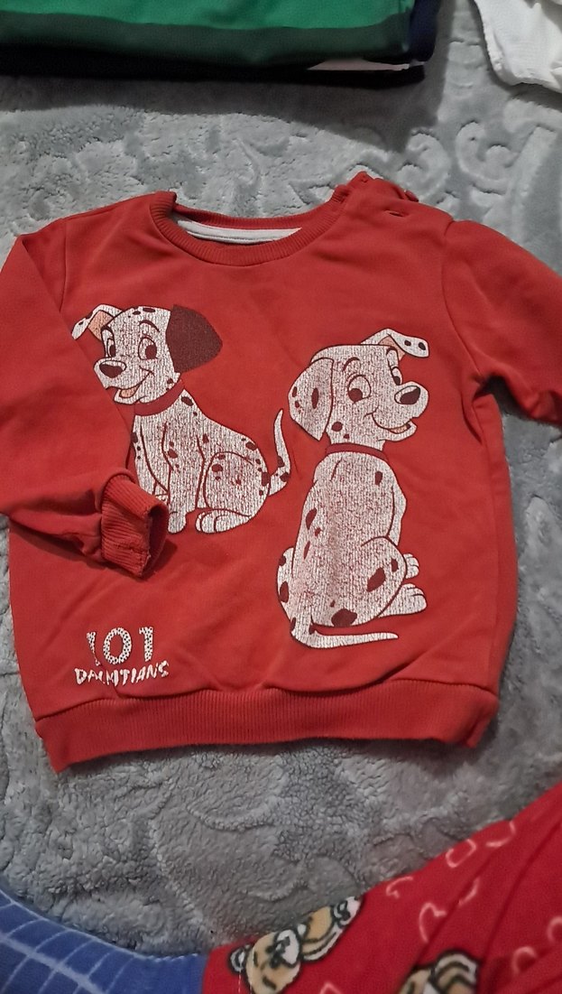 101 Dalmaçyalı Desenli Erkek Sweatshirt - Görsel 2