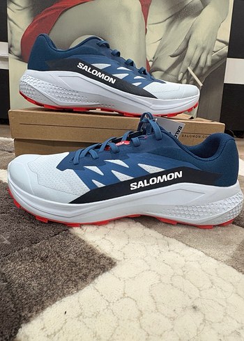 Salomon 43