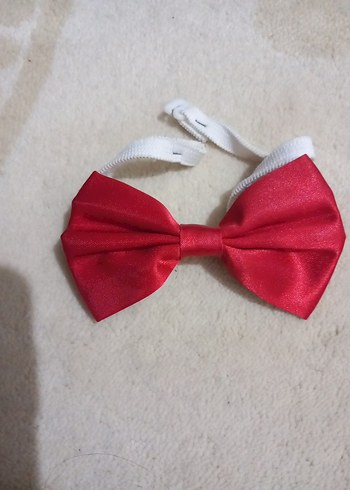 ERKEK ÇOCUK İÇİN PAPYON - Görsel 2