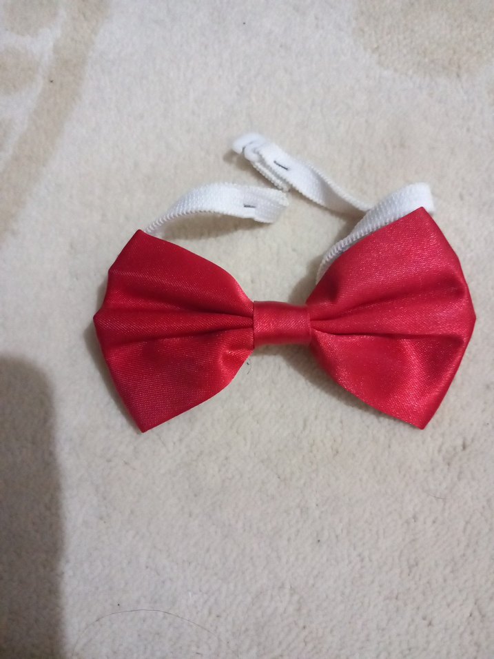 ERKEK ÇOCUK İÇİN PAPYON - Görsel 2