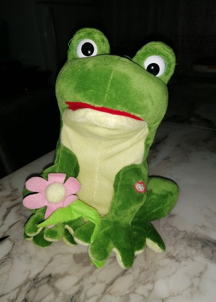 Peluş oyuncak - Görsel 3