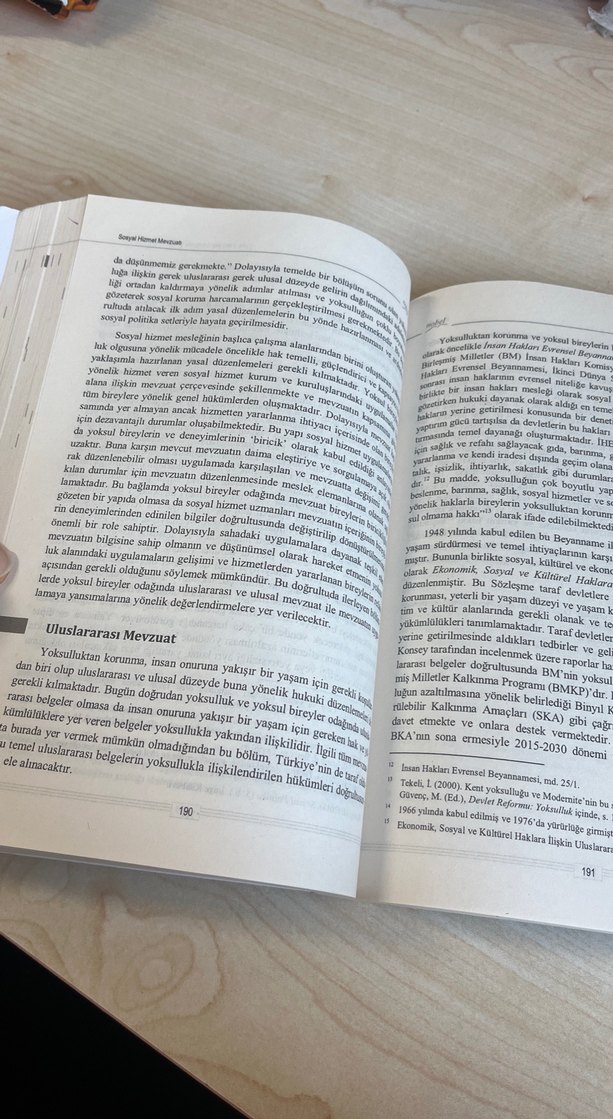 Sosyal Hizmet Mevzuatı - Mehmet Başcılar - Görsel 3