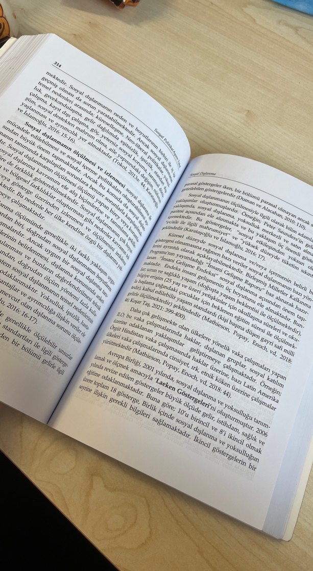 Sosyal politika kitabı - Görsel 3