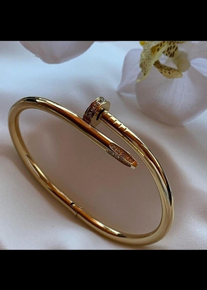 Çelik Çivi Kelepçe - Görsel 2