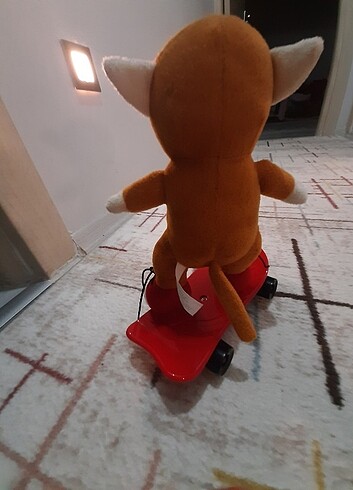 Beden Renk Kaykaycı maymun